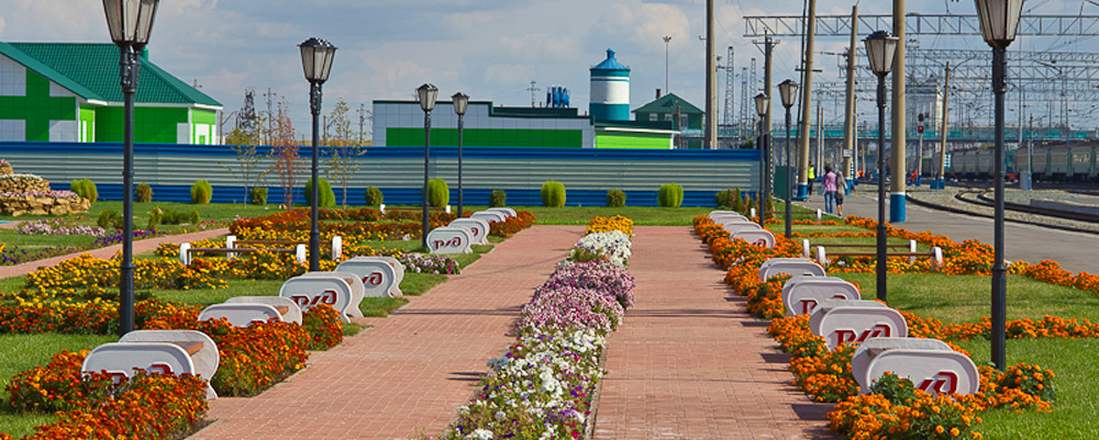 Г Барабинск Фото